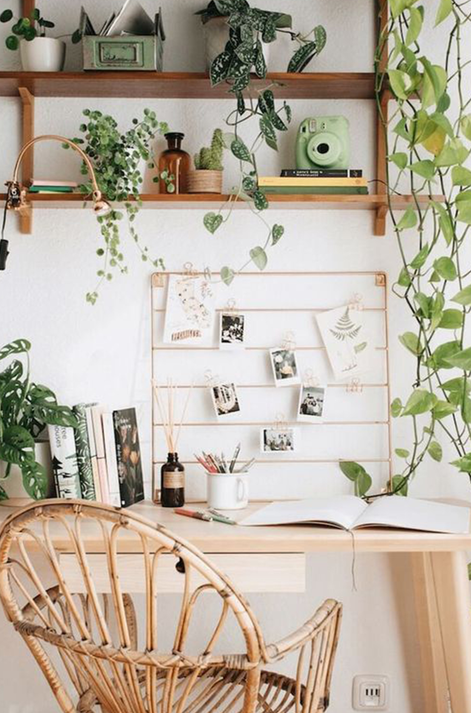 Bureau bohème avec plante